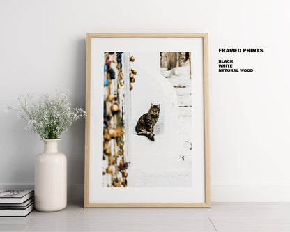 Cat Print - Greece - Print - Poster - Santorini Photography - Greece Wall Art - Fine Art Photography - Santorini Cats - Greek Wall Art