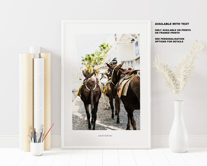 Santorini Donkey Photography Print - Greece - Print - Poster - Santorini Photography - Greece Wall Art - Donkey - Donkeys - Thera - Fira